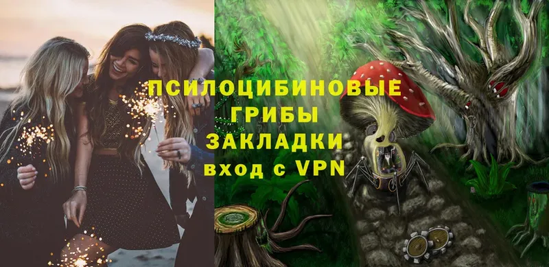 mega как зайти  Благодарный  Галлюциногенные грибы Cubensis 